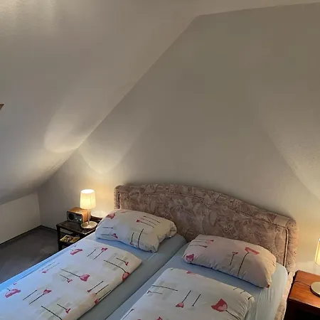 Apartamento Haus Dulshorn Braunlage Exterior foto