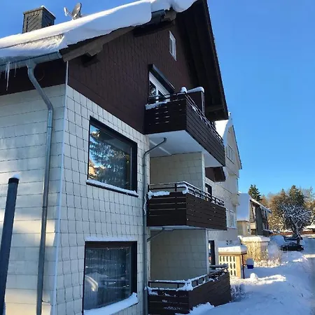 Apartamento Haus Dulshorn Braunlage Exterior foto