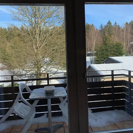 Apartamento Haus Dulshorn Braunlage Exterior foto